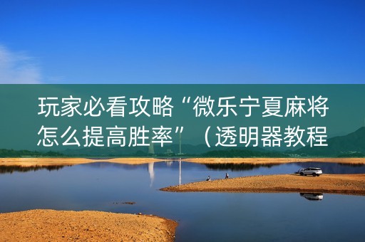 玩家必看攻略“微乐宁夏麻将怎么提高胜率”（透明器教程)