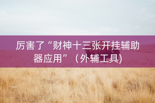 厉害了“财神十三张开挂辅助器应用”（外辅工具)