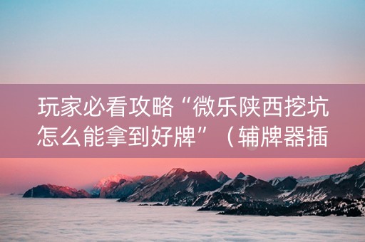 玩家必看攻略“微乐陕西挖坑怎么能拿到好牌”（辅牌器插件购买)