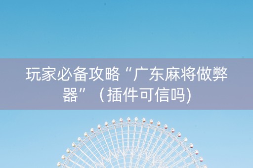 玩家必备攻略“广东麻将做弊器”（插件可信吗)