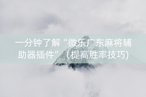 一分钟了解“微乐广东麻将辅助器插件”（提高胜率技巧)