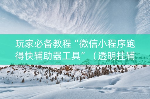 玩家必备教程“微信小程序跑得快辅助器工具”（透明挂辅助器)