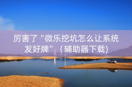 厉害了“微乐挖坑怎么让系统发好牌”（辅助器下载)