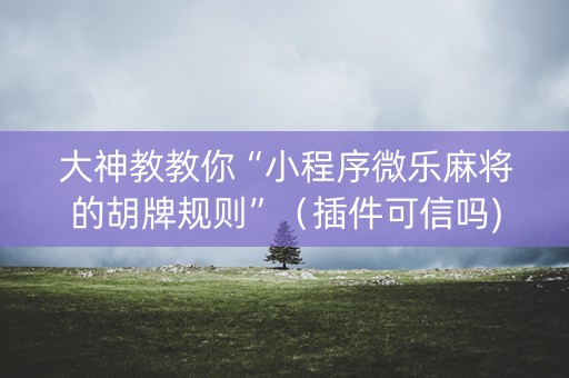大神教教你“小程序微乐麻将的胡牌规则”（插件可信吗)