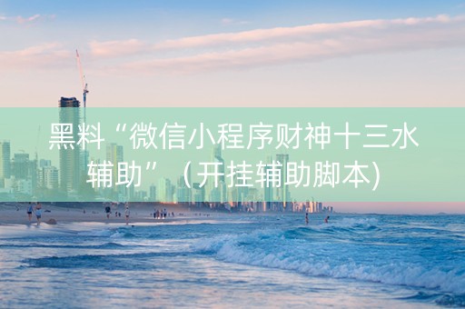 黑料“微信小程序财神十三水辅助”（开挂辅助脚本)