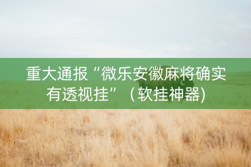 重大通报“微乐安徽麻将确实有透视挂”（软挂神器)