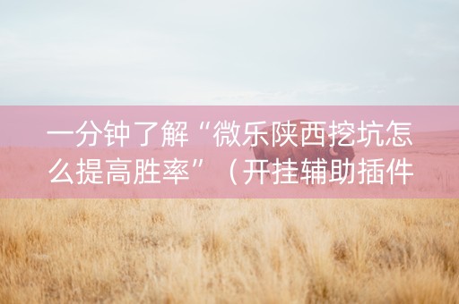 一分钟了解“微乐陕西挖坑怎么提高胜率”（开挂辅助插件)