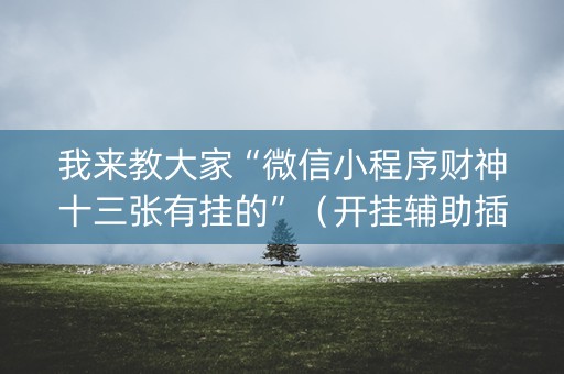 我来教大家“微信小程序财神十三张有挂的”（开挂辅助插件)