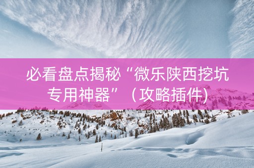 必看盘点揭秘“微乐陕西挖坑专用神器”（攻略插件)