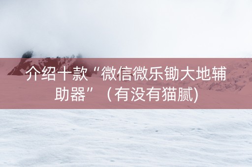 介绍十款“微信微乐锄大地辅助器”（有没有猫腻)