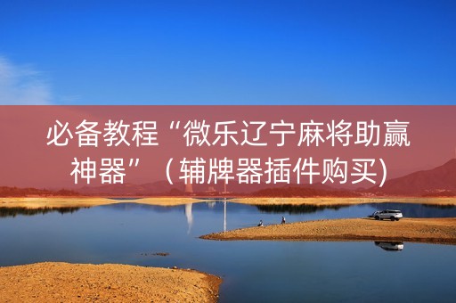 必备教程“微乐辽宁麻将助赢神器”（辅牌器插件购买)