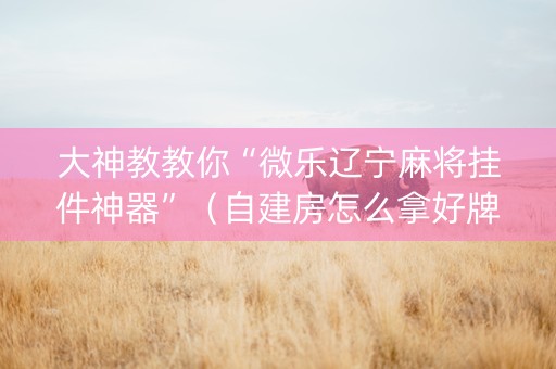 大神教教你“微乐辽宁麻将挂件神器”（自建房怎么拿好牌)
