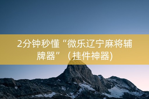2分钟秒懂“微乐辽宁麻将辅牌器”（挂件神器)