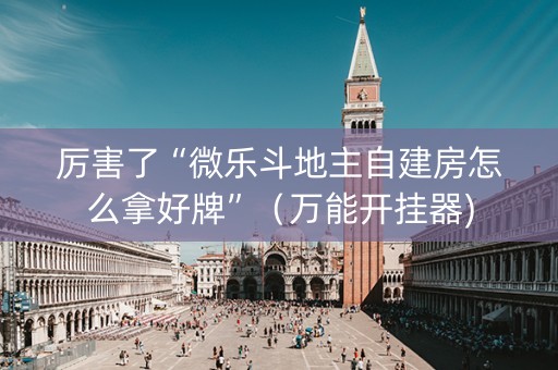 厉害了“微乐斗地主自建房怎么拿好牌”（万能开挂器)