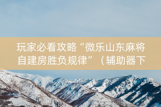 玩家必看攻略“微乐山东麻将自建房胜负规律”（辅助器下载)