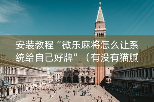 安装教程“微乐麻将怎么让系统给自己好牌”（有没有猫腻)