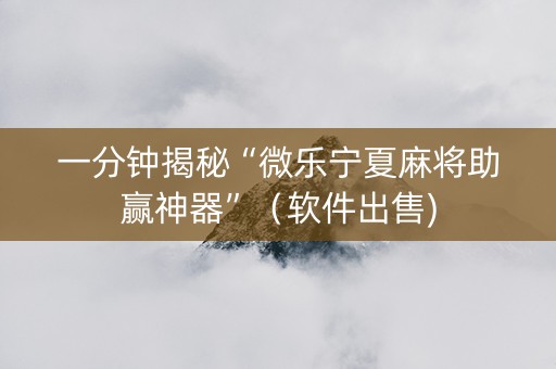 一分钟揭秘“微乐宁夏麻将助赢神器”（软件出售)