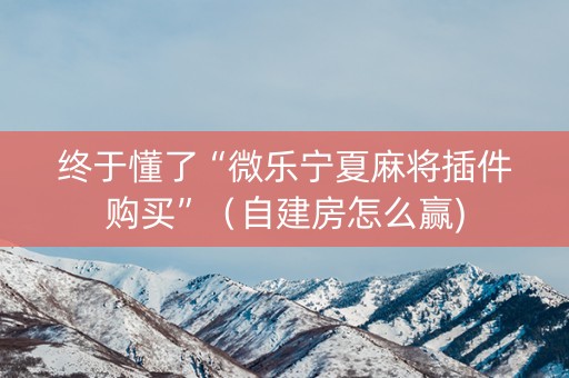 终于懂了“微乐宁夏麻将插件购买”（自建房怎么赢)