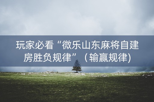 玩家必看“微乐山东麻将自建房胜负规律”（输赢规律)