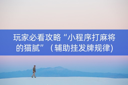 玩家必看攻略“小程序打麻将的猫腻”（辅助挂发牌规律)