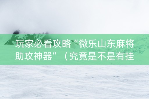 玩家必看攻略“微乐山东麻将助攻神器”（究竟是不是有挂)
