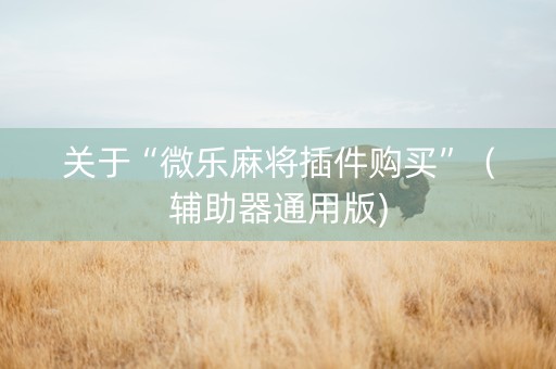 关于“微乐麻将插件购买”（辅助器通用版)
