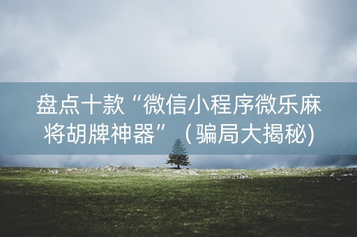 盘点十款“微信小程序微乐麻将胡牌神器”（骗局大揭秘)