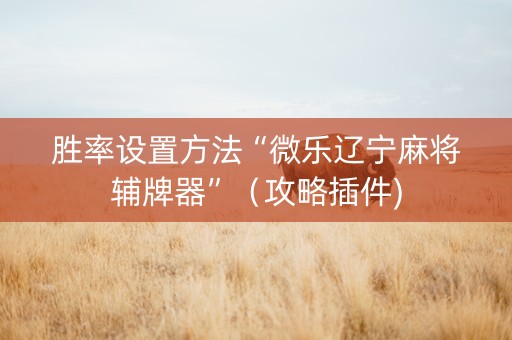 胜率设置方法“微乐辽宁麻将辅牌器”（攻略插件)