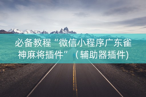 必备教程“微信小程序广东雀神麻将插件”（辅助器插件)