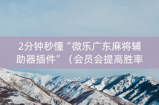 2分钟秒懂“微乐广东麻将辅助器插件”（会员会提高胜率吗)