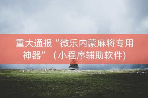 重大通报“微乐内蒙麻将专用神器”（小程序辅助软件)