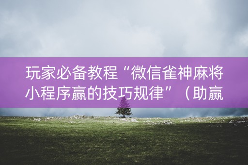 玩家必备教程“微信雀神麻将小程序赢的技巧规律”（助赢神器)