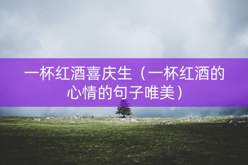 一杯红酒喜庆生（一杯红酒的心情的句子唯美）