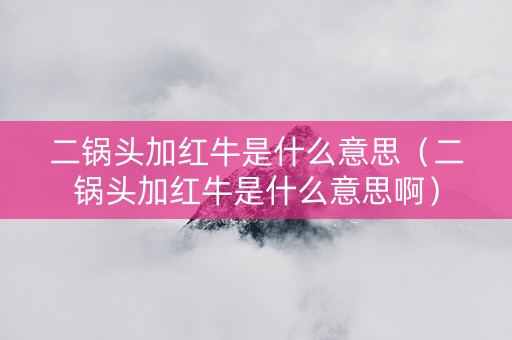 二锅头加红牛是什么意思（二锅头加红牛是什么意思啊）