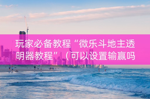 玩家必备教程“微乐斗地主透明器教程”（可以设置输赢吗)