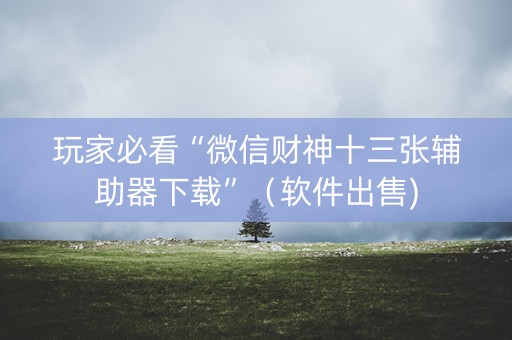 玩家必看“微信财神十三张辅助器下载”（软件出售)