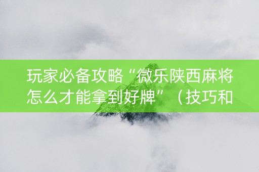玩家必备攻略“微乐陕西麻将怎么才能拿到好牌”（技巧和打好牌方法)