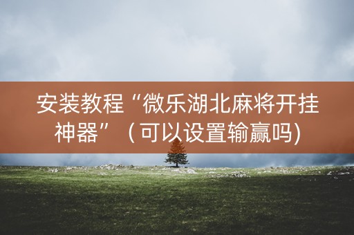安装教程“微乐湖北麻将开挂神器”（可以设置输赢吗)