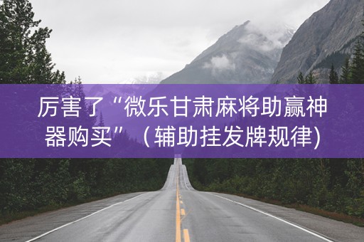 厉害了“微乐甘肃麻将助赢神器购买”（辅助挂发牌规律)