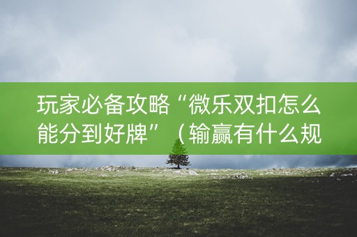 玩家必备攻略“微乐双扣怎么能分到好牌”（输赢有什么规律)