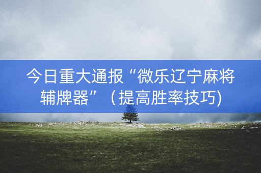 今日重大通报“微乐辽宁麻将辅牌器”（提高胜率技巧)