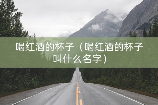 喝红酒的杯子（喝红酒的杯子叫什么名字）