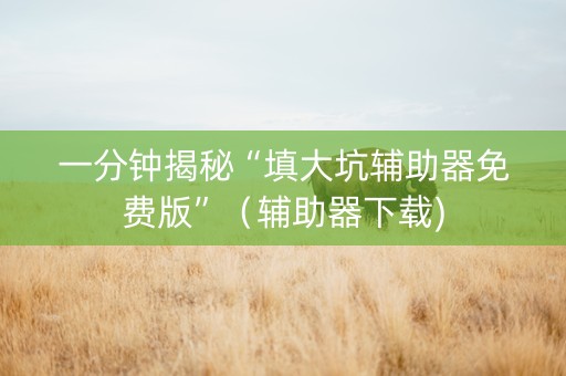 一分钟揭秘“填大坑辅助器免费版”（辅助器下载)
