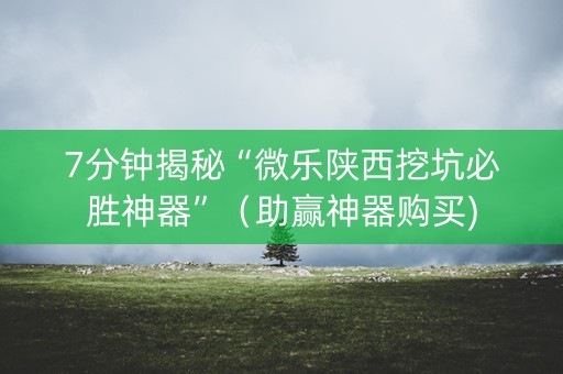 7分钟揭秘“微乐陕西挖坑必胜神器”（助赢神器购买)