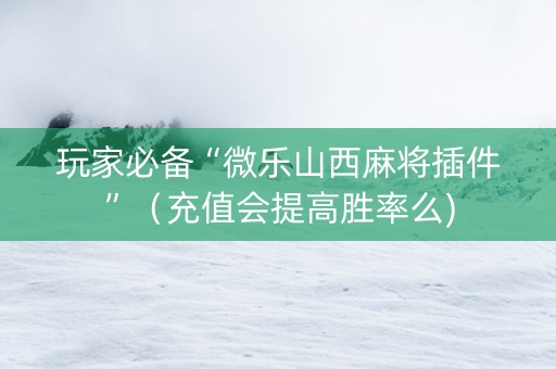 玩家必备“微乐山西麻将插件”（充值会提高胜率么)