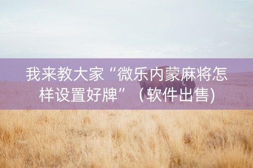 我来教大家“微乐内蒙麻将怎样设置好牌”（软件出售)