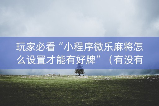 玩家必看“小程序微乐麻将怎么设置才能有好牌”（有没有猫腻)