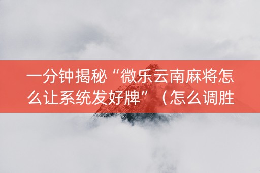 一分钟揭秘“微乐云南麻将怎么让系统发好牌”（怎么调胜率)