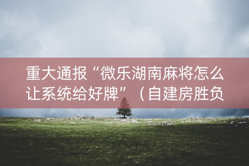 重大通报“微乐湖南麻将怎么让系统给好牌”（自建房胜负规律)