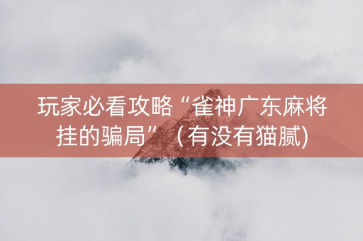玩家必看攻略“雀神广东麻将挂的骗局”（有没有猫腻)